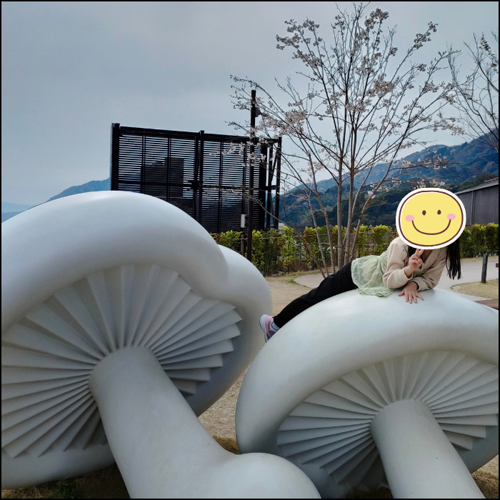 ソラニワ写真